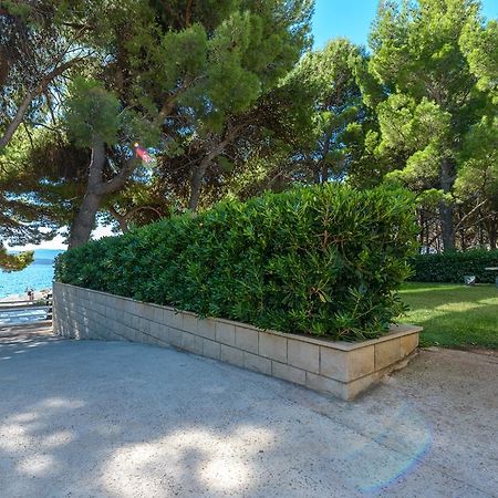 Apartment Promenade Zlatni Rat 波尔 客房 照片